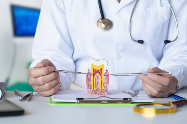 Best Emergency Broken Tooth Repair in Portola Valley, CA